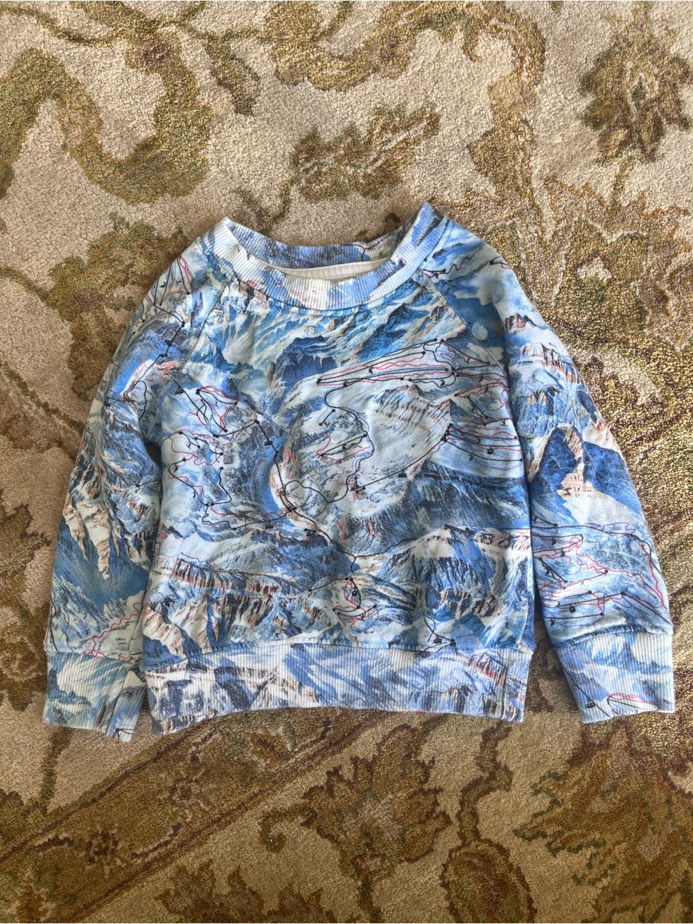 Organic Cotton Ski Sweatshirt